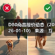 D80商品报价动态（2026-01-10）