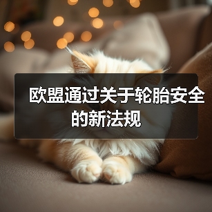 欧盟通过关于轮胎安全的新法规（图4）
