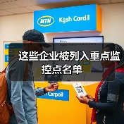 这些企业被列入重点监控点名单（图4）