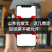 山东省发文，这几类项目投资不被允许！（图4）