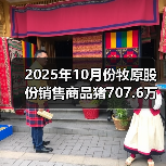 2025年10月份牧原股份销售商品猪707.6万头 来源：互联网 2025-11-06（图4）