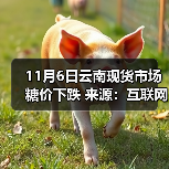 11月6日云南现货市场糖价下跌 来源:互联网 2025-11-06(图4) 11月6日云南现货市场糖价下跌 来源:互联网 2025-11-06(图4)