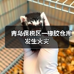 青岛保税区一橡胶仓库发生火灾（图4）