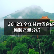 2012年全年甘肃省合成橡胶产量分析