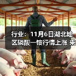 行业:11月6日湖北地区磷酸一铵行情上涨 来源:互联网 2025-11-06(图2) 行业:11月6日湖北地区磷酸一铵行情上涨 来源:互联网 2025-11-06(图2)