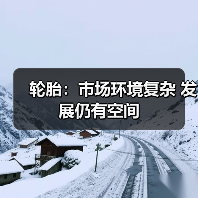 轮胎:市场环境复杂 发展仍有空间(图3) 轮胎:市场环境复杂 发展仍有空间(图3)