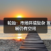 轮胎:市场环境复杂 发展仍有空间(图4) 轮胎:市场环境复杂 发展仍有空间(图4)