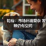 轮胎:市场环境复杂 发展仍有空间(图3) 轮胎:市场环境复杂 发展仍有空间(图3)