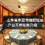 山东省东营市橡胶轮胎产业不断膨胀升级(图2) 山东省东营市橡胶轮胎产业不断膨胀升级(图2)