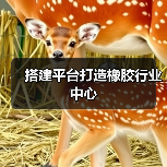 搭建平台打造橡胶行业中心(图4) 搭建平台打造橡胶行业中心(图4)