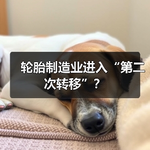 轮胎制造业进入“第二次转移”?(图2) 轮胎制造业进入“第二次转移”?(图2)