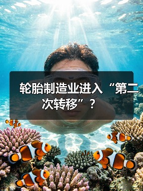 轮胎制造业进入“第二次转移”?(图4) 轮胎制造业进入“第二次转移”?(图4)