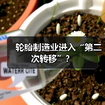 轮胎制造业进入“第二次转移”?(图3) 轮胎制造业进入“第二次转移”?(图3)