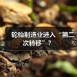 轮胎制造业进入“第二次转移”?(图4) 轮胎制造业进入“第二次转移”?(图4)
