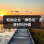 轮胎企业“绿色化”激发材料升级(图4) 轮胎企业“绿色化”激发材料升级(图4)