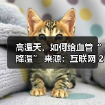 高温天，如何给血管“降温”