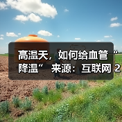 高温天,如何给血管“降温” 来源:互联网 2025-08-22(图2) 高温天,如何给血管“降温” 来源:互联网 2025-08-22(图2)