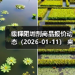 缓释阻垢剂商品报价动态（2026-01-11） 来源：互联网 2026-01-18（图2）