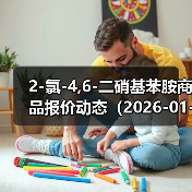 2-氯-4,6-二硝基苯胺商品报价动态（2026-01-12）