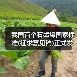 我国首个石墨烯国家标准(征求意见稿)正式发布