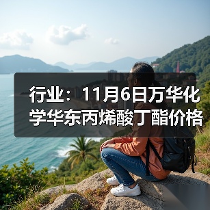 行业：11月6日万华化学华东丙烯酸丁酯价格下调