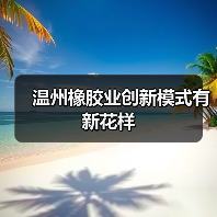 温州橡胶业创新模式有新花样(图4) 温州橡胶业创新模式有新花样(图4)