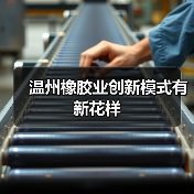 温州橡胶业创新模式有新花样(图3) 温州橡胶业创新模式有新花样(图3)