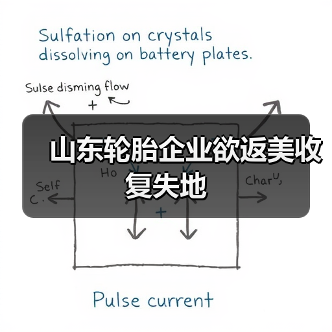 山东轮胎企业欲返美收复失地(图2) 山东轮胎企业欲返美收复失地(图2)