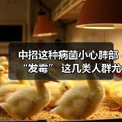 中招这种病菌小心肺部“发霉” 这几类人群尤其要注意 来源:互联网 2025-08-21(图2) 中招这种病菌小心肺部“发霉” 这几类人群尤其要注意 来源:互联网 2025-08-21(图2)