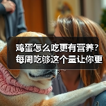鸡蛋怎么吃更有营养?每周吃够这个量让你更健康 来源:互联网 2025-08-22(图4) 鸡蛋怎么吃更有营养?每周吃够这个量让你更健康 来源:互联网 2025-08-22(图4)