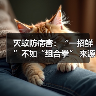 灭蚊防病害:“一招鲜”不如“组合拳” 来源:互联网 2025-08-20(图2) 灭蚊防病害:“一招鲜”不如“组合拳” 来源:互联网 2025-08-20(图2)