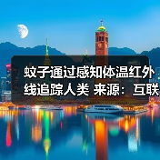 蚊子通过感知体温红外线追踪人类 来源:互联网 2025-08-20(图2) 蚊子通过感知体温红外线追踪人类 来源:互联网 2025-08-20(图2)
