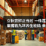 立秋尝鲜正当时 一株莲里藏着九味养生密码