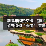 潮湿与闷热交织,别让关节悄悄“受伤” 来源:互联网 2025-08-19(图2) 潮湿与闷热交织,别让关节悄悄“受伤” 来源:互联网 2025-08-19(图2)