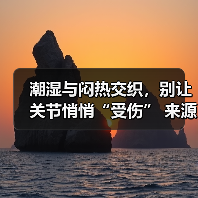 潮湿与闷热交织,别让关节悄悄“受伤” 来源:互联网 2025-08-19(图3) 潮湿与闷热交织,别让关节悄悄“受伤” 来源:互联网 2025-08-19(图3)
