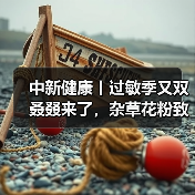 中新健康丨过敏季又双叒叕来了,杂草花粉致敏性更强 来源:互联网 2025-08-18(图2) 中新健康丨过敏季又双叒叕来了,杂草花粉致敏性更强 来源:互联网 2025-08-18(图2)