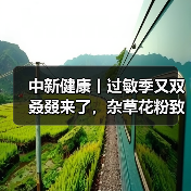 中新健康丨过敏季又双叒叕来了,杂草花粉致敏性更强 来源:互联网 2025-08-18(图4) 中新健康丨过敏季又双叒叕来了,杂草花粉致敏性更强 来源:互联网 2025-08-18(图4)