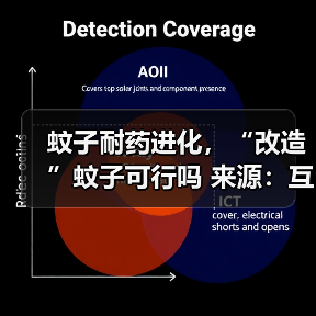 蚊子耐药进化,“改造”蚊子可行吗 来源:互联网 2025-08-19(图3) 蚊子耐药进化,“改造”蚊子可行吗 来源:互联网 2025-08-19(图3)