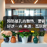 预防基孔肯雅热，要做好这一点 来源：互联网 2025-08-15（图2）