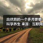 出伏后的一个多月更要科学养生 来源：互联网 2025-08-19（图4）