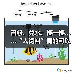 舀粉、兑水、摇一摇……“人饲料”真的可以替代三餐吗？ 来源：互联网 2025-08-15（图3）