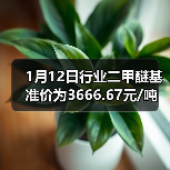 1月12日行业二甲醚基准价为3666.67元/吨