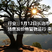 行业:1月12日长治市场焦炭价格暂稳运行 来源:互联网 2026-01-17(图2) 行业:1月12日长治市场焦炭价格暂稳运行 来源:互联网 2026-01-17(图2)