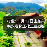 行业:1月12日山东兴鹏永发化工化工品x新价格 来源:互联网 2026-01-17(图4) 行业:1月12日山东兴鹏永发化工化工品x新价格 来源:互联网 2026-01-17(图4)