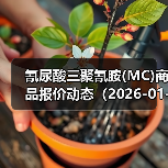 氰尿酸三聚氰胺(MC)商品报价动态（2026-01-13） 来源：互联网 2026-01-17（图4）