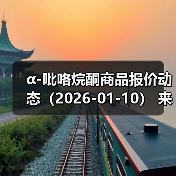 α-吡咯烷酮商品报价动态（2026-01-10）