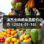 溴氰虫酰胺商品报价动态（2026-01-10） 来源：互联网 2026-01-17（图3）