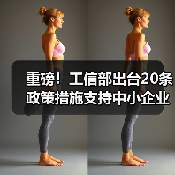 重磅！工信部出台20条政策措施支持中小企业复工复产渡过难关（图4）
