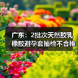 广东：2批次天然胶乳橡胶避孕套抽检不合格（图4）