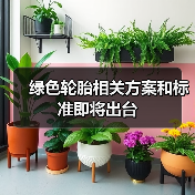 绿色轮胎相关方案和标准即将出台（图3）